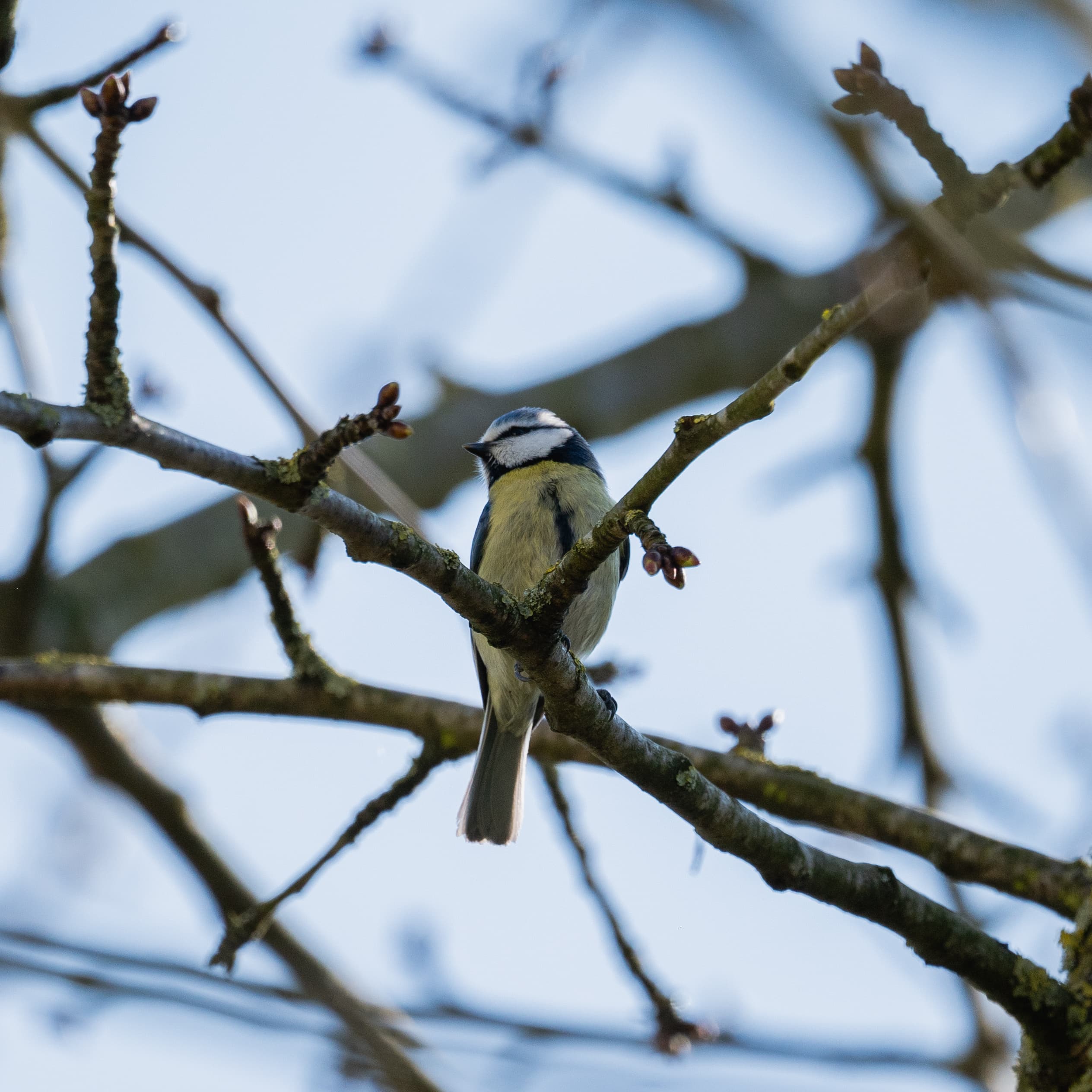 Natur 7